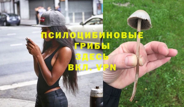 2c-b Абаза