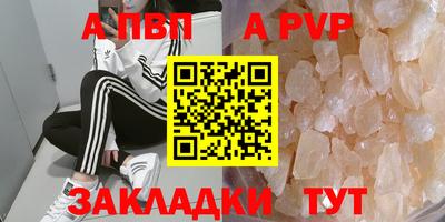 стаф Новокубанск