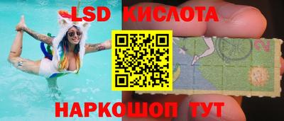 Альфа ПВП Новодвинск
