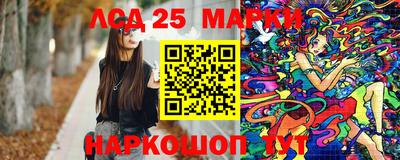 стаф Новокубанск