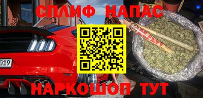 молекула духа Новозыбков