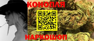 Альфа ПВП Новодвинск