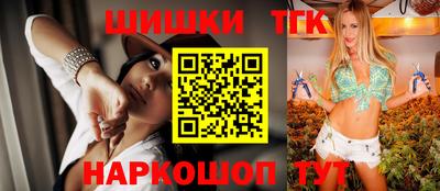 стаф Новокубанск