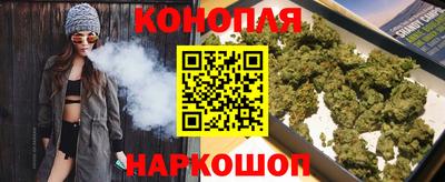 стаф Новокубанск