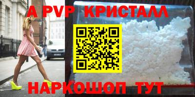 стаф Новокубанск