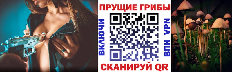 Галлюциногенные грибы GOLDEN TEACHER  Саратов 
