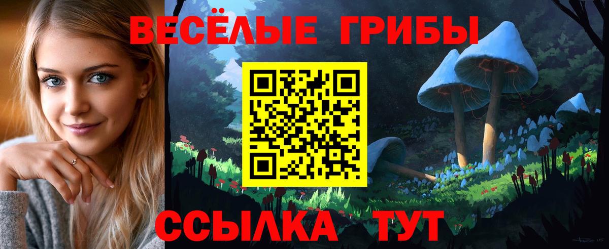 Псилоцибиновые грибы мухоморы  Псилоцибиновые грибы мухоморы  Вход с VPN  Саратов 